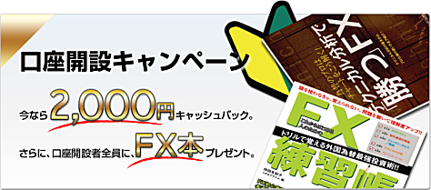 FX�v���C���u�����J�݃L�����y�[���v