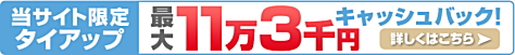 FXプライム byGMOの新規口座開設で、【現金11万3千円】キャッシュバック!