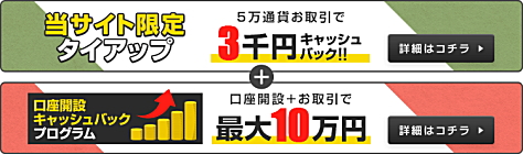 FXプライム byGMO×FXのはじめ方 限定タイアップキャンペーン 3000円キャッシュバック