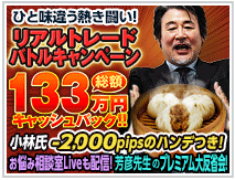 ヒロセ通商FXのキャンペーン実施例