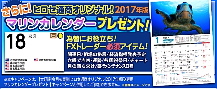 ヒロセ通商のキャンペーン実施例