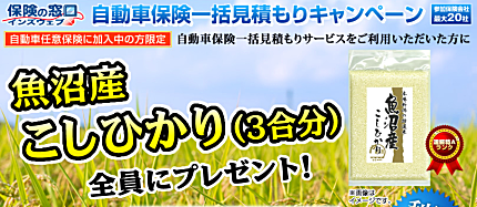 保険の窓口インズウェブ、自動車保険一括見積もりで500円分ジェフグルメカードプレゼント!