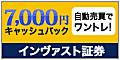 �C�����@�X�g�،� FX24