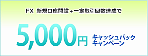 ライブスターFX新規口座開設キャンペーンで、【5,000円】キャッシュバック！
