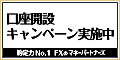 マネーパートナーズFX