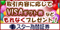 スター為替証券 くりっく365
